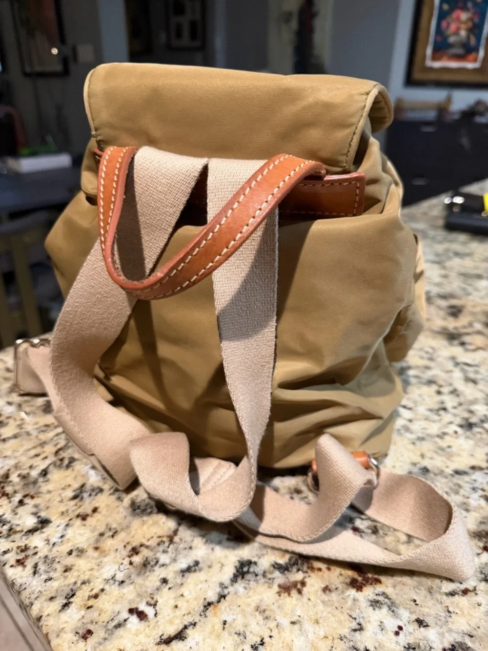 Dooney & Bourke Miramar small Murphy Backpack in Tan with Brown Leather Trim